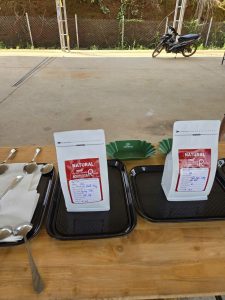 Sự kiện Best of Robusta Daknong 2026 - chuẩn bị và nhận mẫu thử nếm cà phê tại FRD Fine Robusta Daknong cùng Stone Village Lab