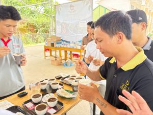 Sự kiện Best of Robusta Daknong 2026 - cupping đánh giá chất lượng Fine Robusta vụ 2025-2026 tại FRD cùng Stone Village Lab