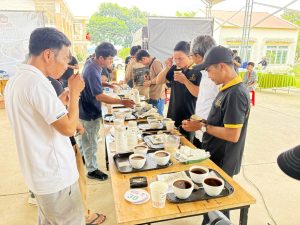 Sự kiện Best of Robusta Daknong 2026 - cupping đánh giá chất lượng Fine Robusta vụ 2025-2026 tại FRD cùng Stone Village Lab