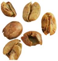 Lỗi hạt còn vỏ thóc Parchment xát chưa sạch