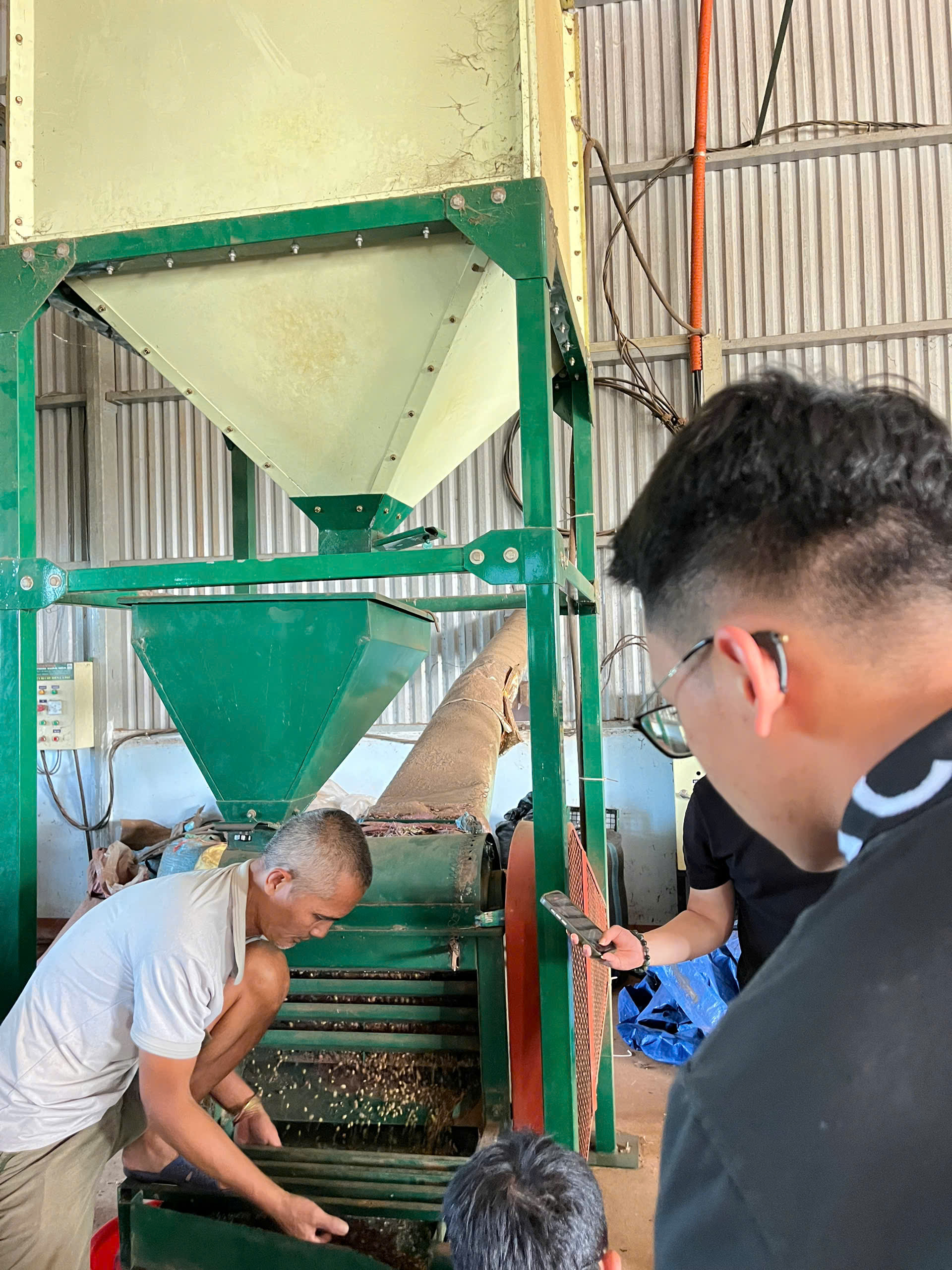 Sát vỏ quả cà phê (xay xát) trong quy trình chế biến