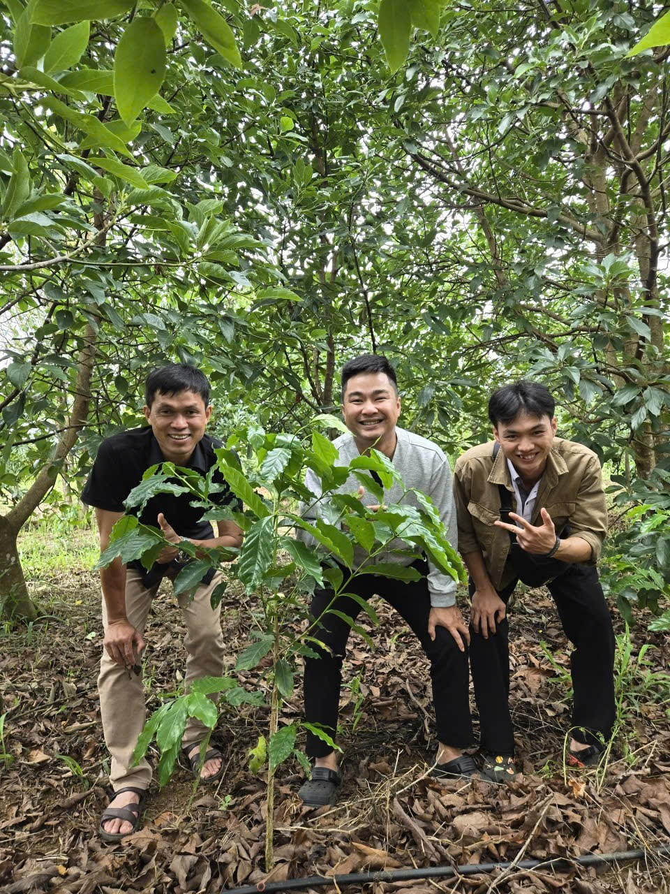 Chuyên gia Stone Village Lab và nông hộ bên cây cà phê Arabica trồng dưới tán rừng tại vùng Măng Đen